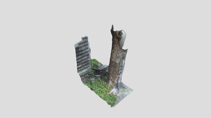 tree-medium-depth-map 3D Model
