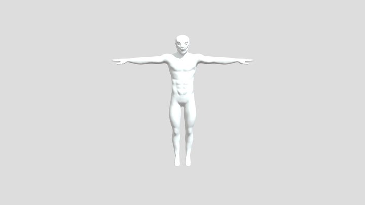 Driver test 3D Model