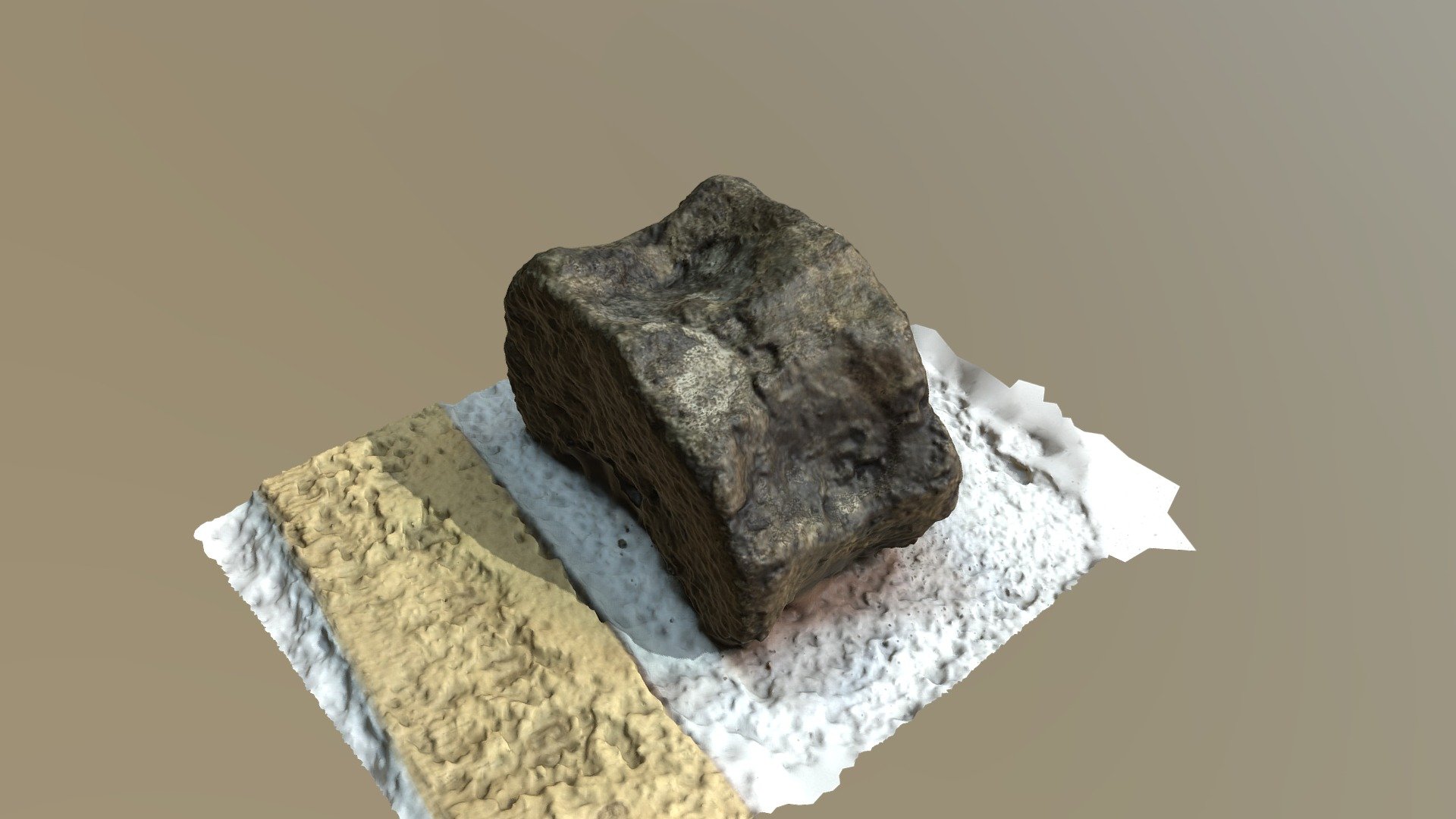 Plesiosaurus Vertebra