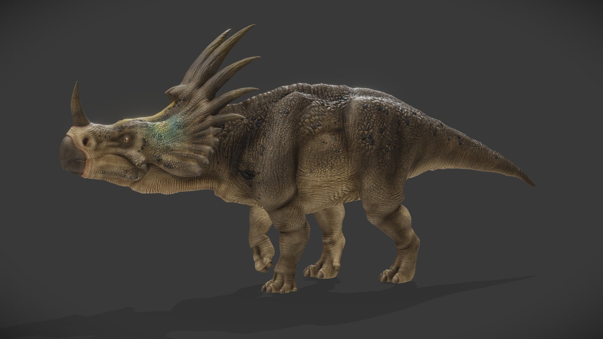 Styracosaurus - 3D Model Animated - PixelBoom