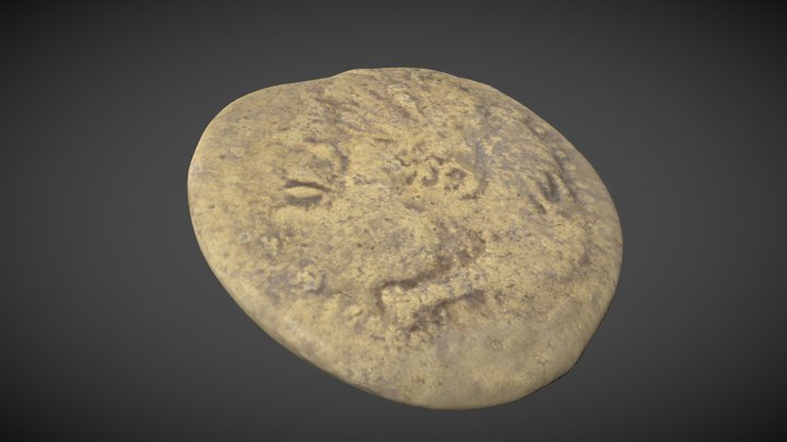 As púnico 3D Model
