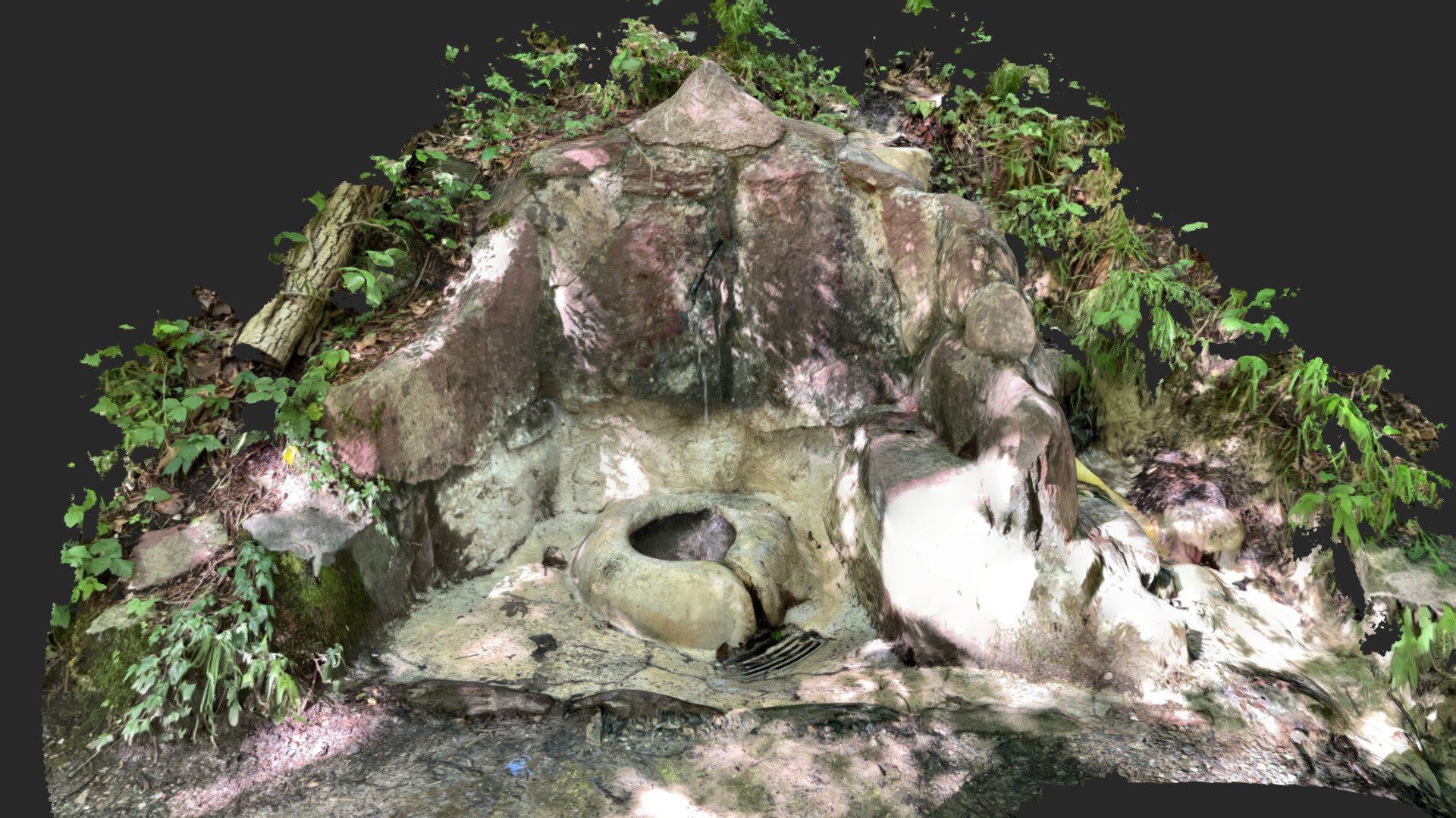 Community Water Bowl