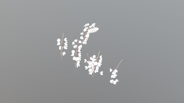 Cherry Blosoom 3D Model