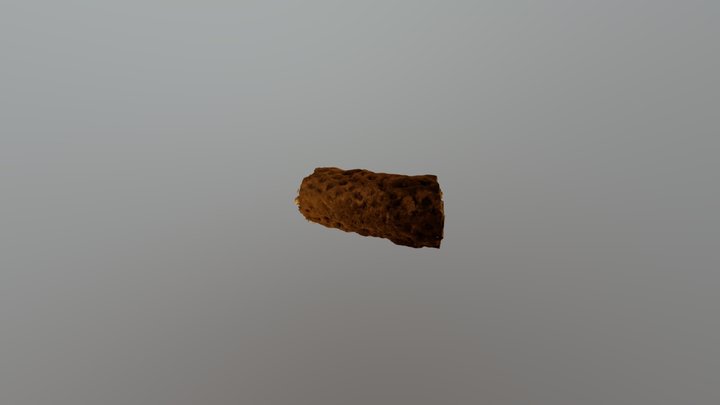 Plant Evolution Model 3D Model
