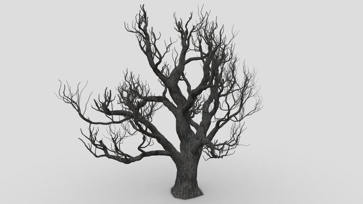 Halloweentree 3D models - Sketchfab