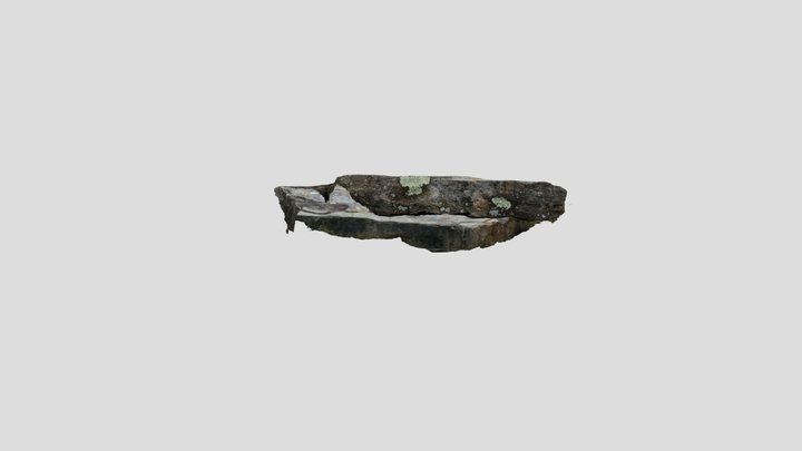 Eubrontes 3D Model