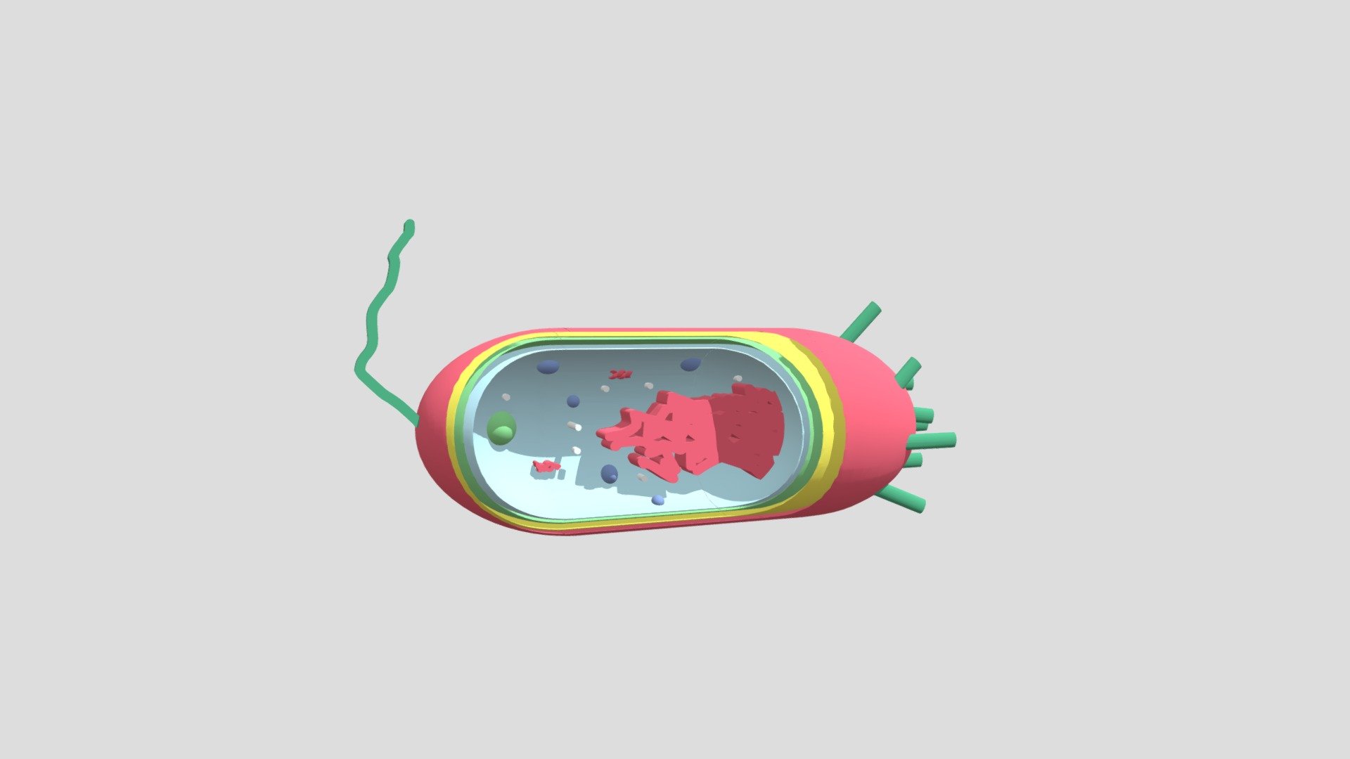 microughs_LactobacilusAcidophilus_APFQ-RNBC