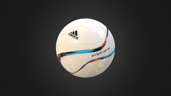 French League Soccer Ball 3D Model 3D Model