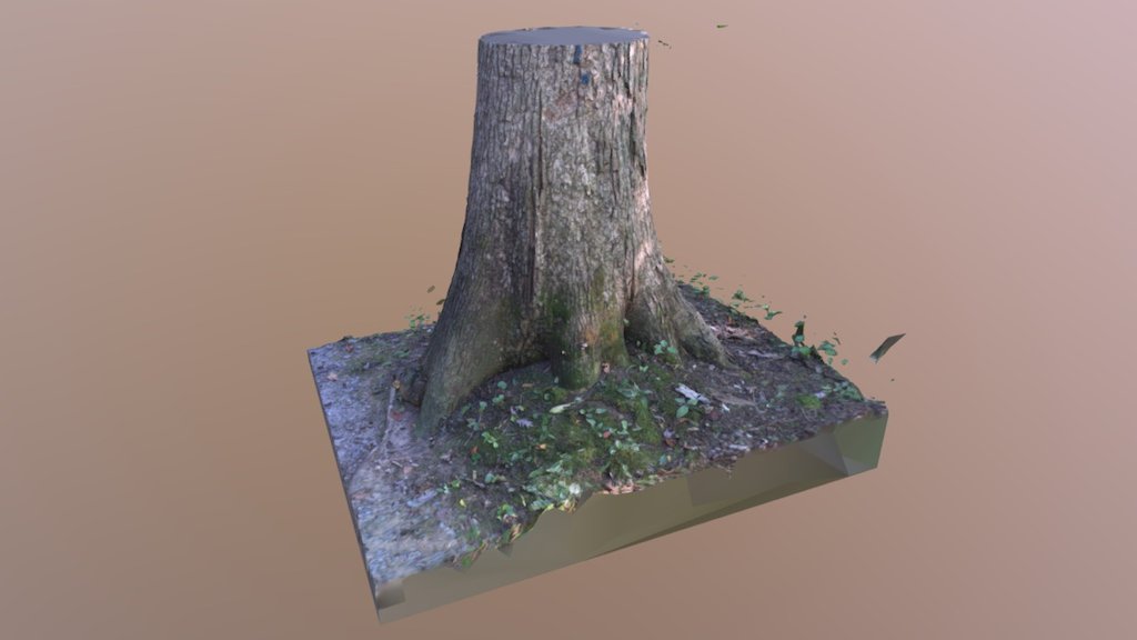 Tree01
