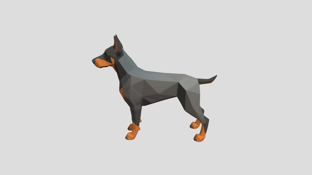 Doberman Dog