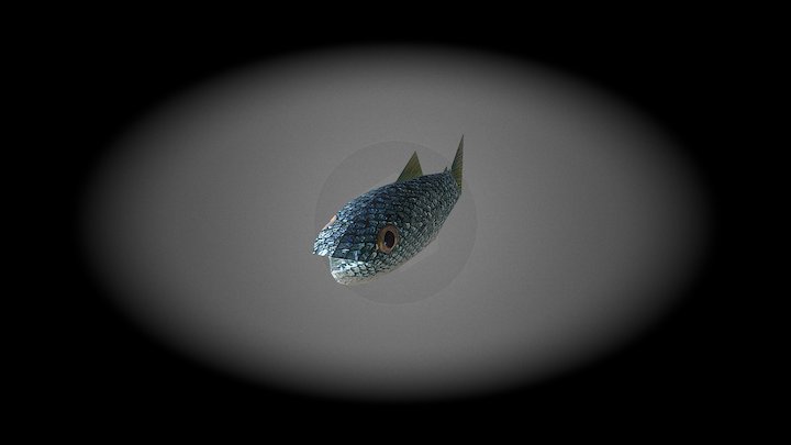 Fish 1 Asset 3D Model