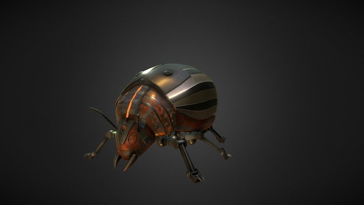Colorado Beetle 3D Model