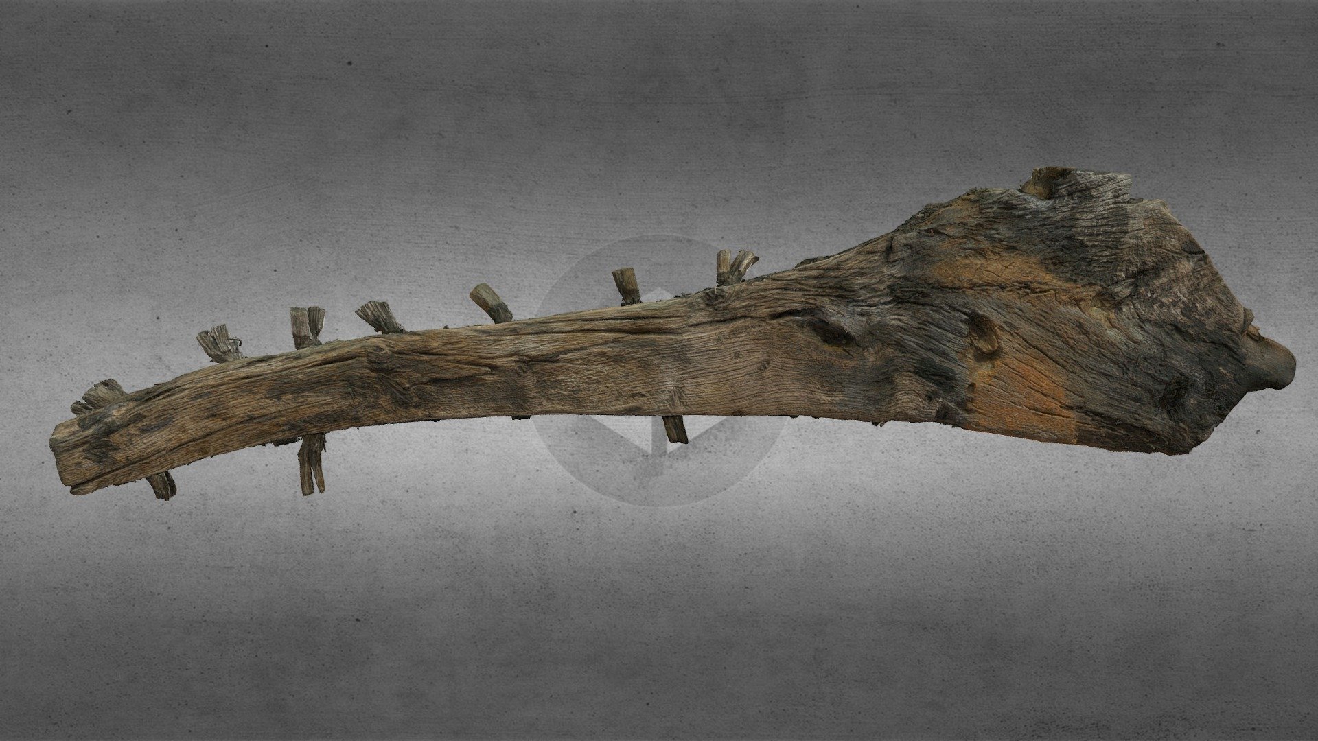 Skipsvrak, Træ 8