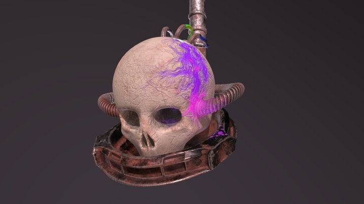 Abstract skull 3D Model