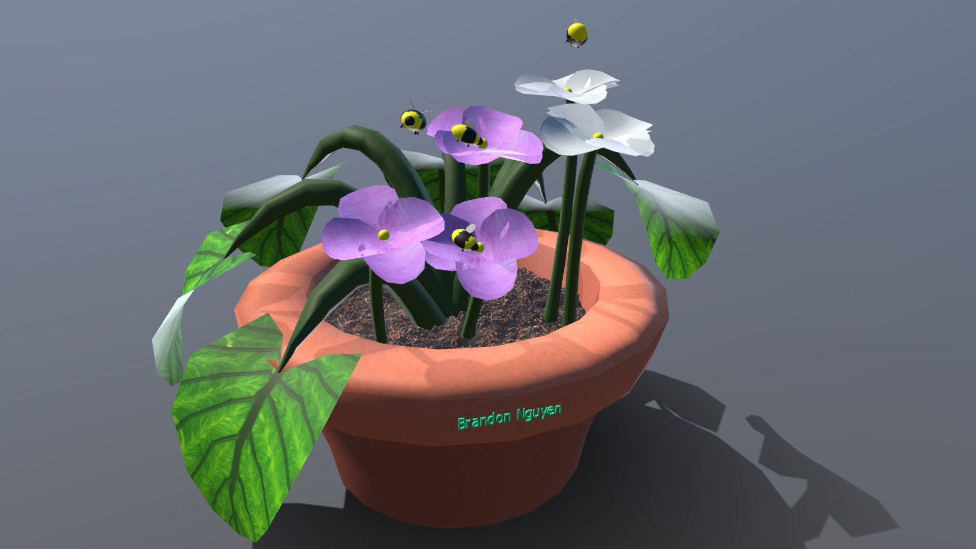 Wk8 Plant