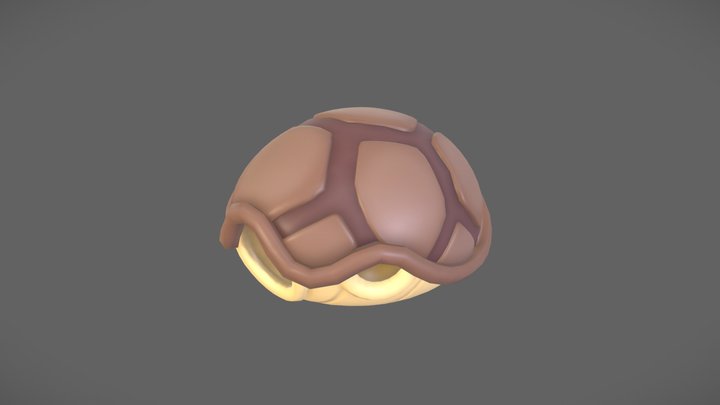 Turtle Shell 3D Model