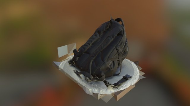 Bag in RealityCapture 3D Model