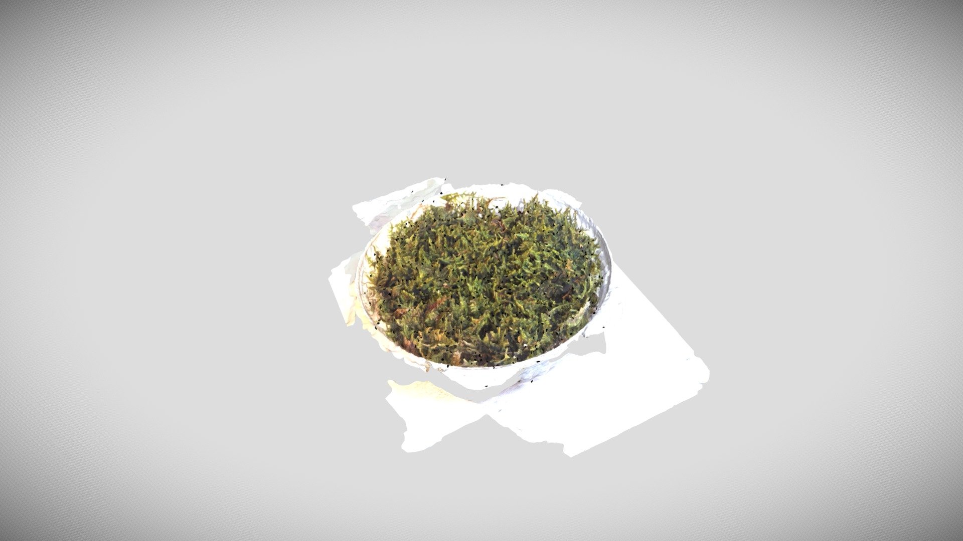 moss