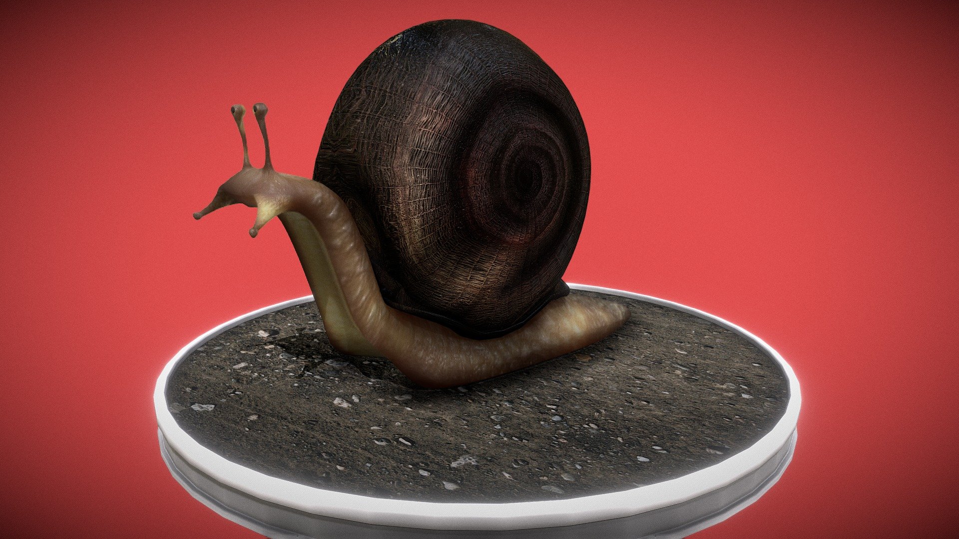Caracol by digital&media[labs]