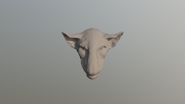 Håkan's head 3D Model