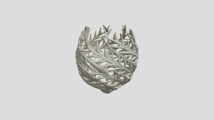 Coral Lattice Sculpture by Tripo