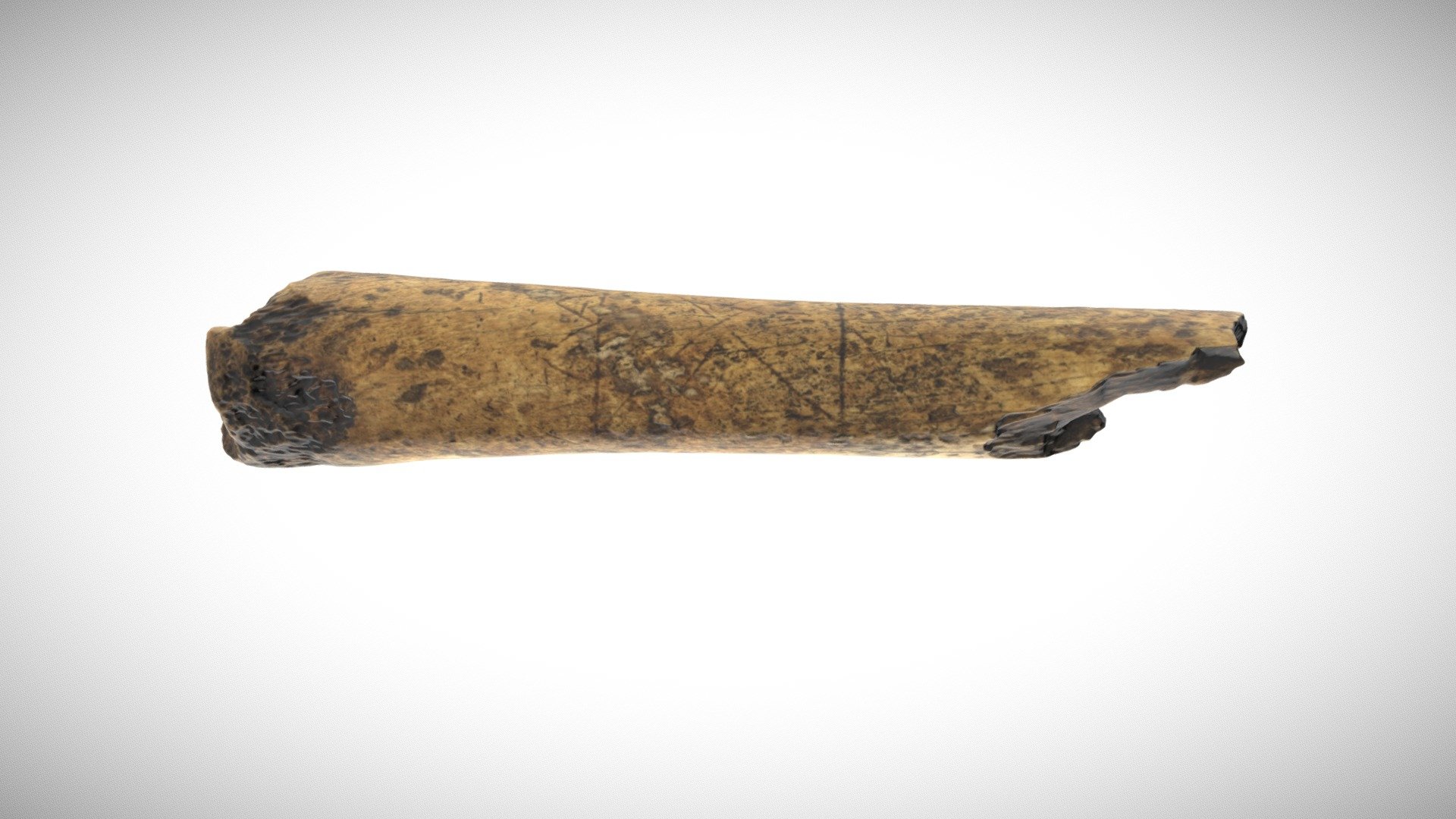 Carved Bone Artifact, Seminole County, FL