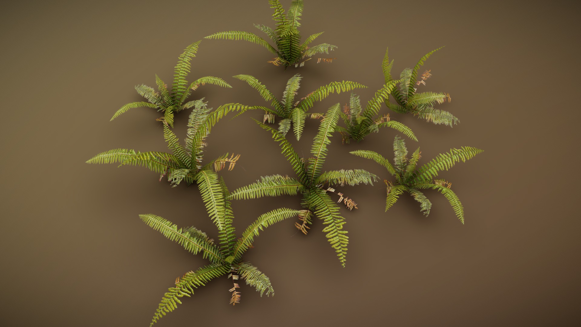 3D model Fern - This is a 3D model of the Fern. The 3D model is about a green plant with leaves.