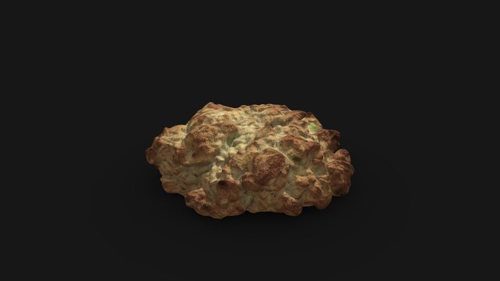 Cookie 3D Model