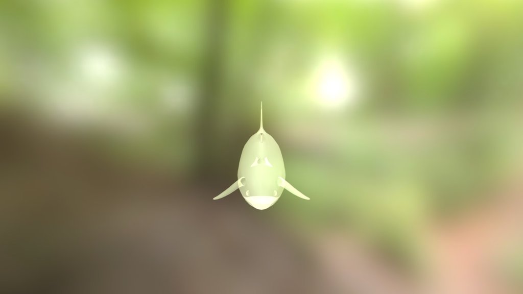 Shark