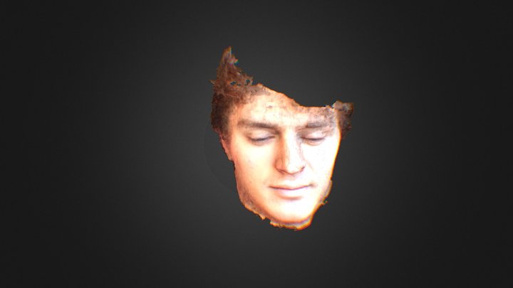 Man's face 3D Model