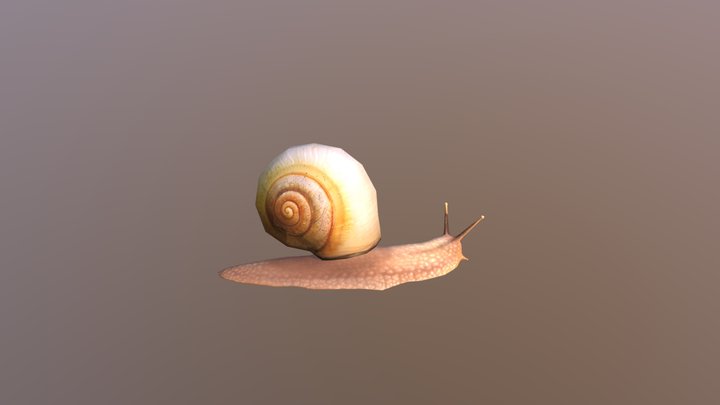 Snail 3D Model