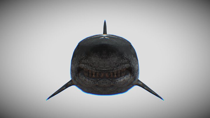 Ark_-_ Megalodon 3D Model