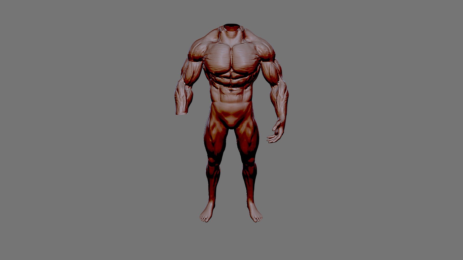 Male Body Builder Base Mesh