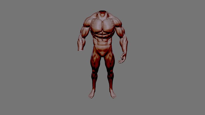 Bodybuilder Base Mesh black 3D Model