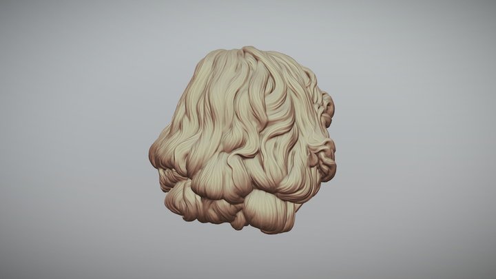Hair 43 3D Model