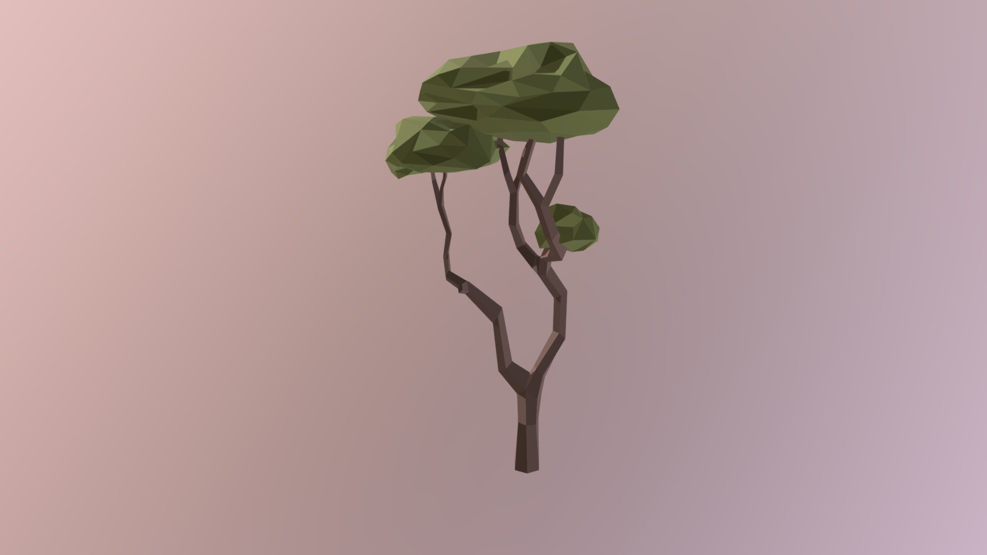 Tree B