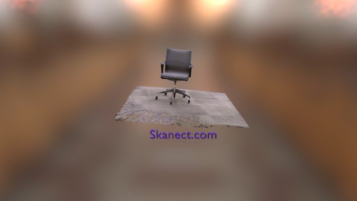 New Skanect Model 3D Model