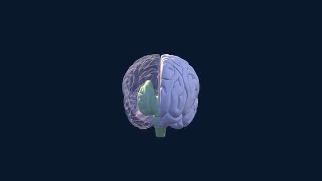 MOAH Color4 3D Model