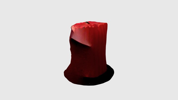 Scanning1 3D Model