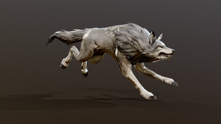 Wolf Run-cycle Animation 3D Model