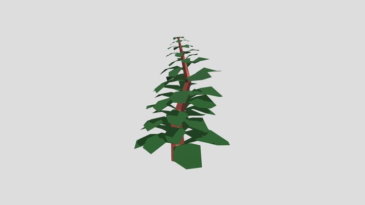 Low Poly Tree 3D Model