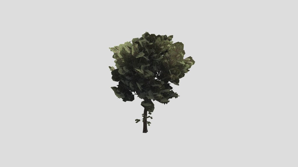 Tree Alder A7 Large