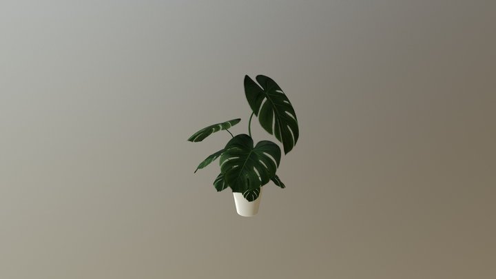 Monstera Deliciosa Model 3D Model