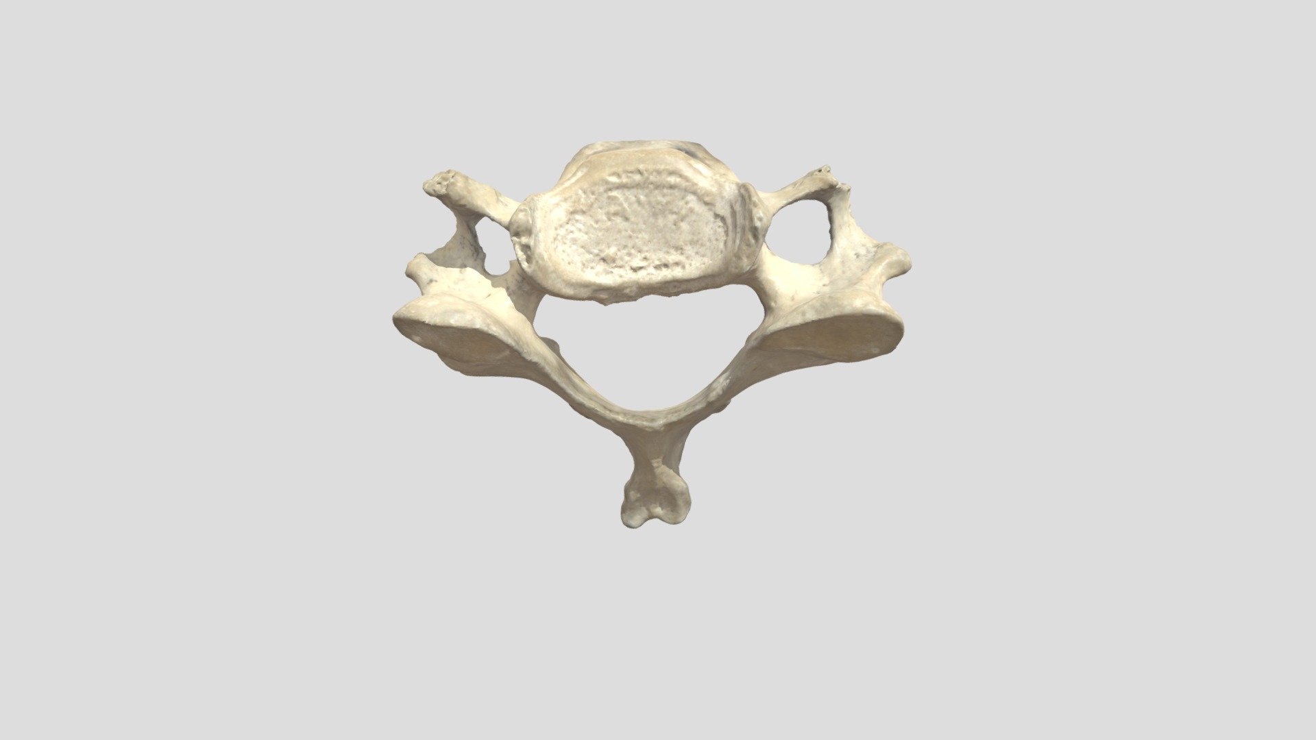 C6 - 3D model by Universiteit Antwerpen (@marjanmaldoy) [95af2b5 ...