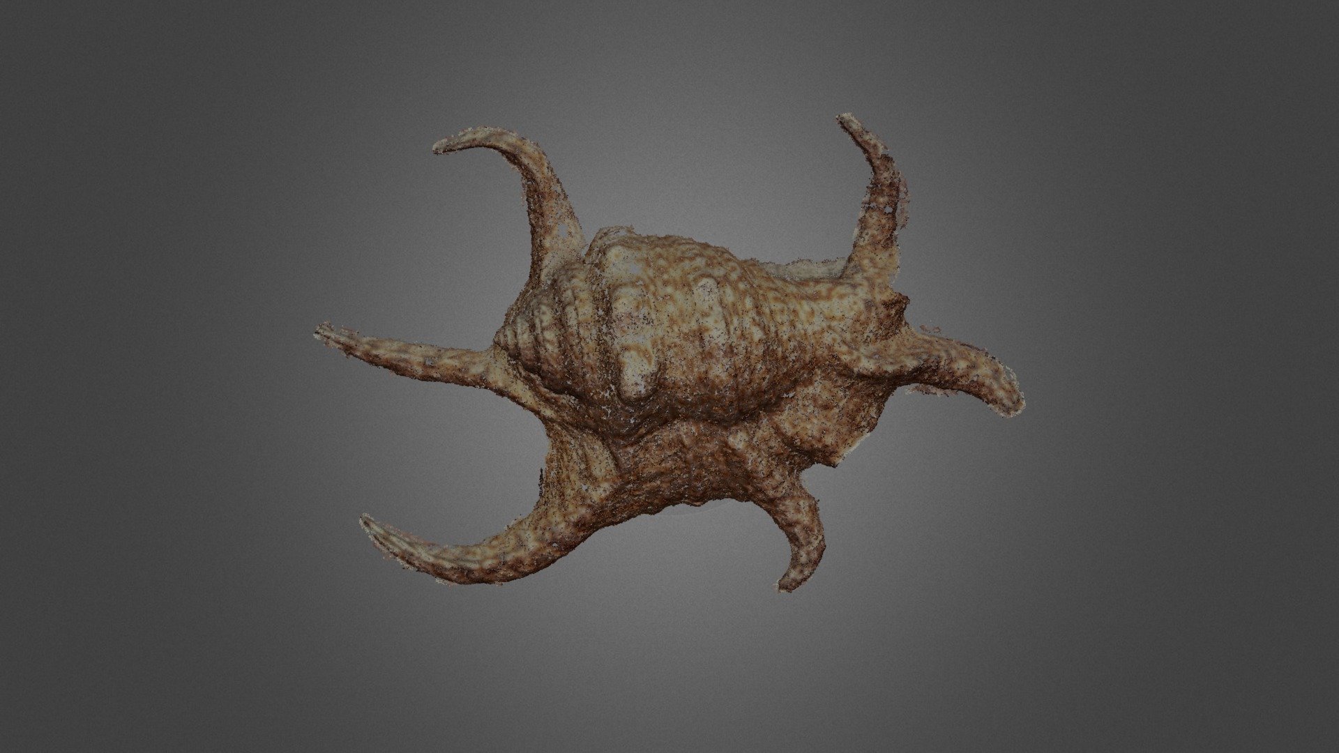 SeaSnailReconstruct_final