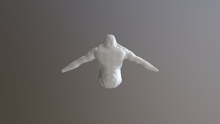 Torso Sculpt 3D Model