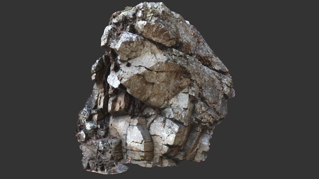 Partial Rock Face - Photoscanned 3D Model