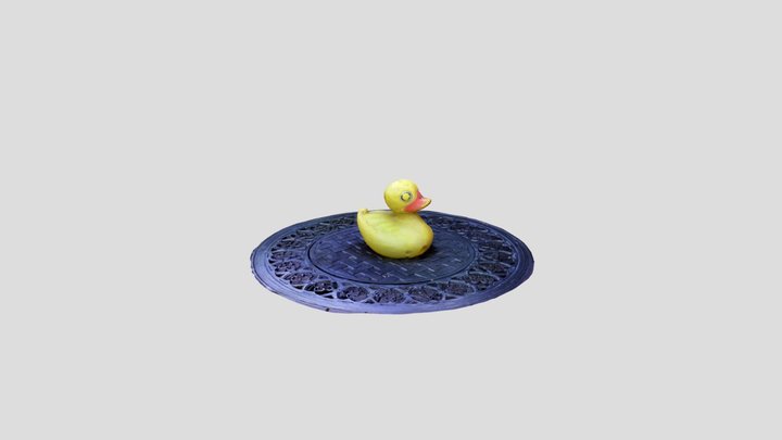 Big Duck 3D Model