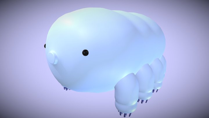 Water Bear 3D Model