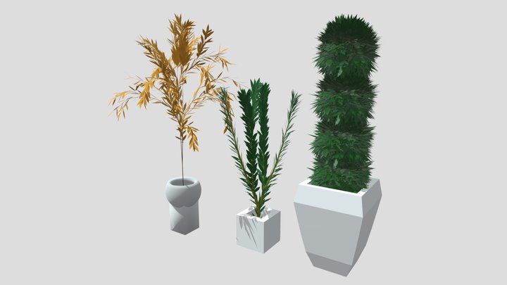Flowers for Decor 3D Model